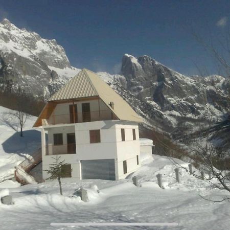 Alpbes Theth Guesthouse Shkodër 외부 사진